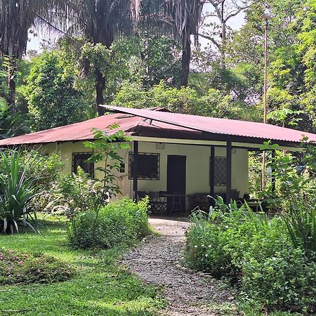 Four Monkeys Eco Lodge Jungle & Beach - The House Cabo Matapalo Экстерьер фото