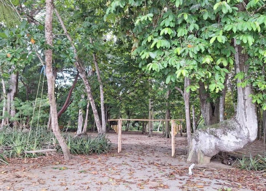 Four Monkeys Eco Lodge Jungle & Beach - The House Cabo Matapalo Экстерьер фото