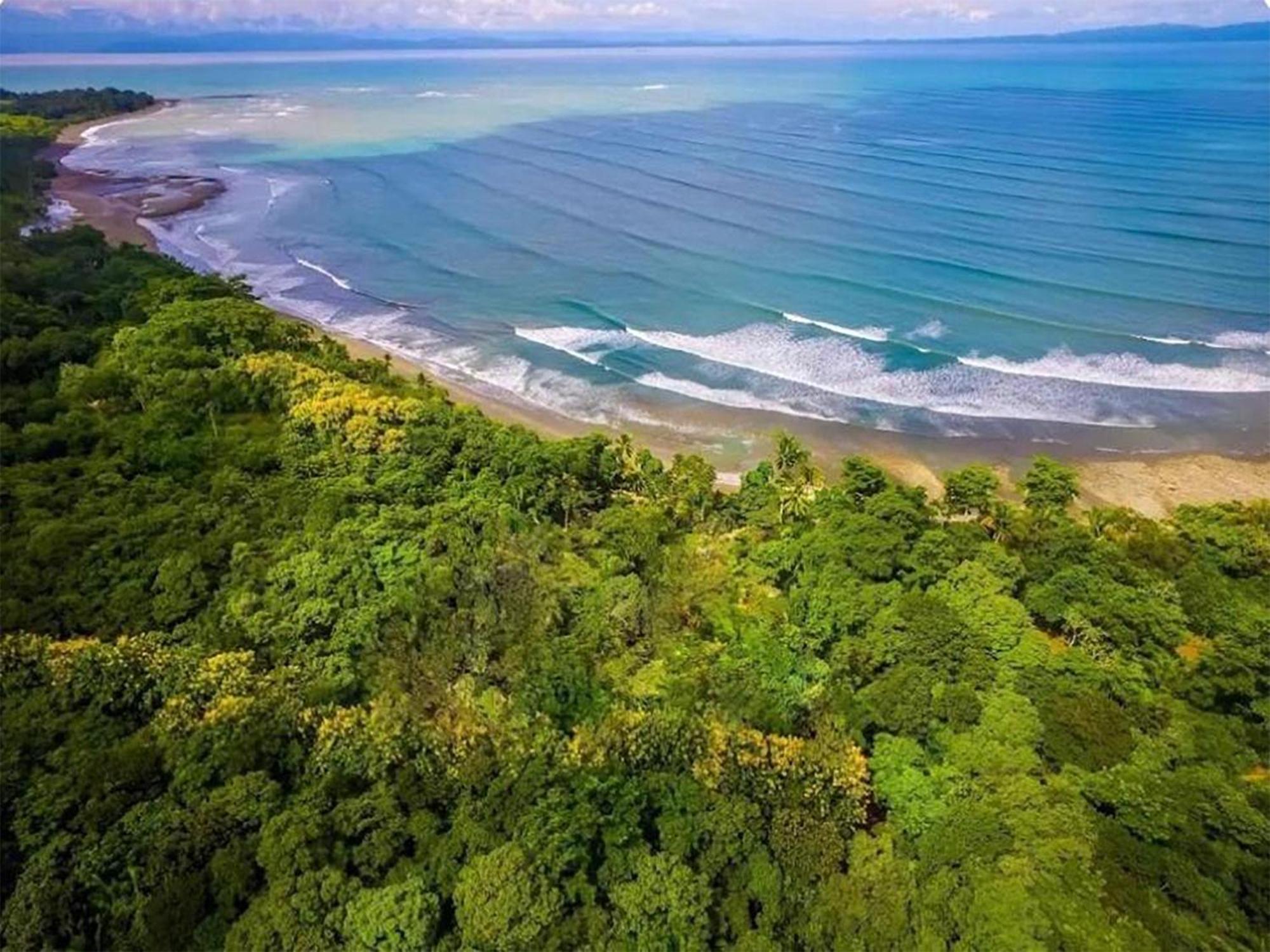 Four Monkeys Eco Lodge Jungle & Beach - The House Cabo Matapalo Экстерьер фото