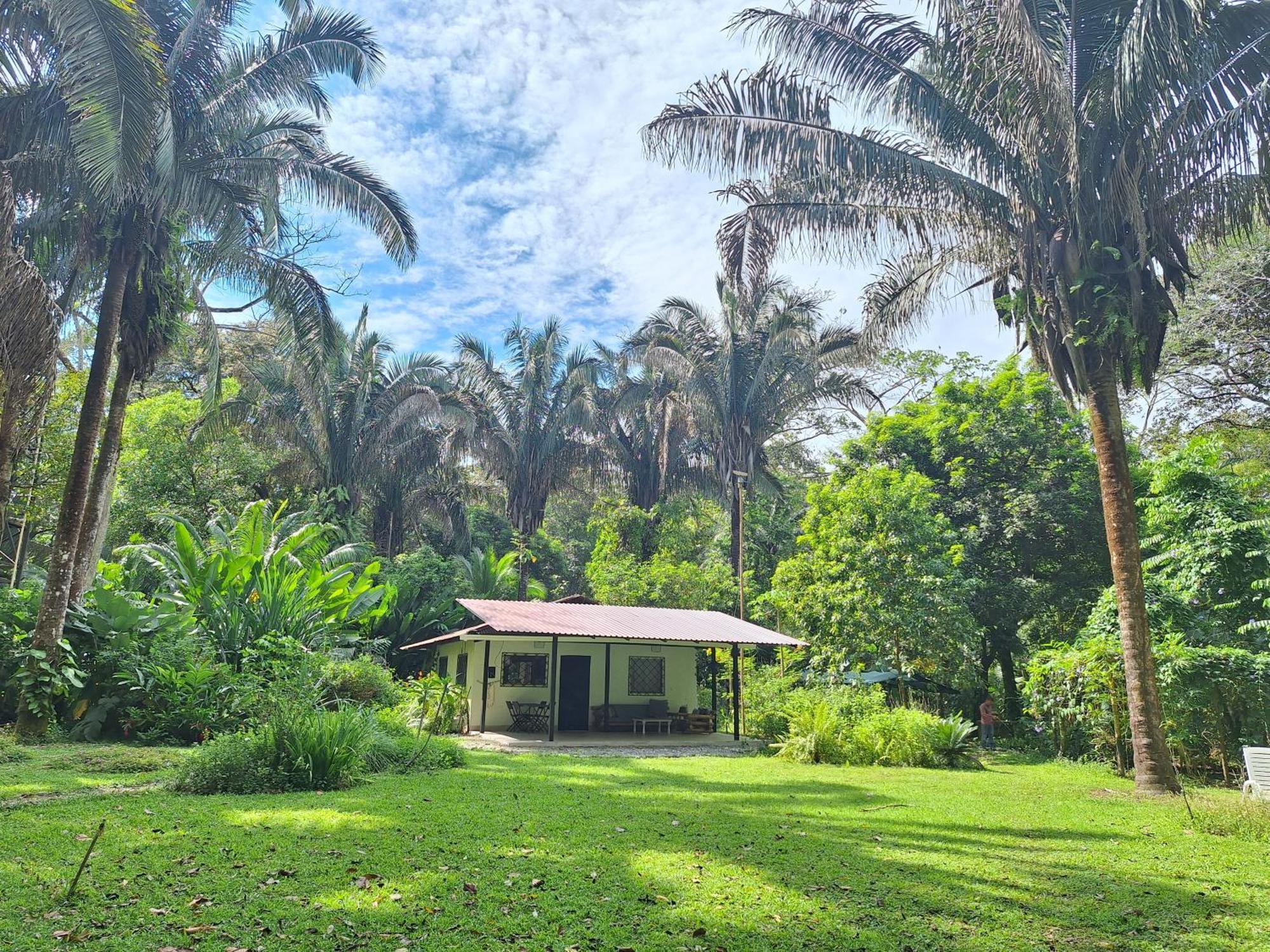 Four Monkeys Eco Lodge Jungle & Beach - The House Cabo Matapalo Экстерьер фото