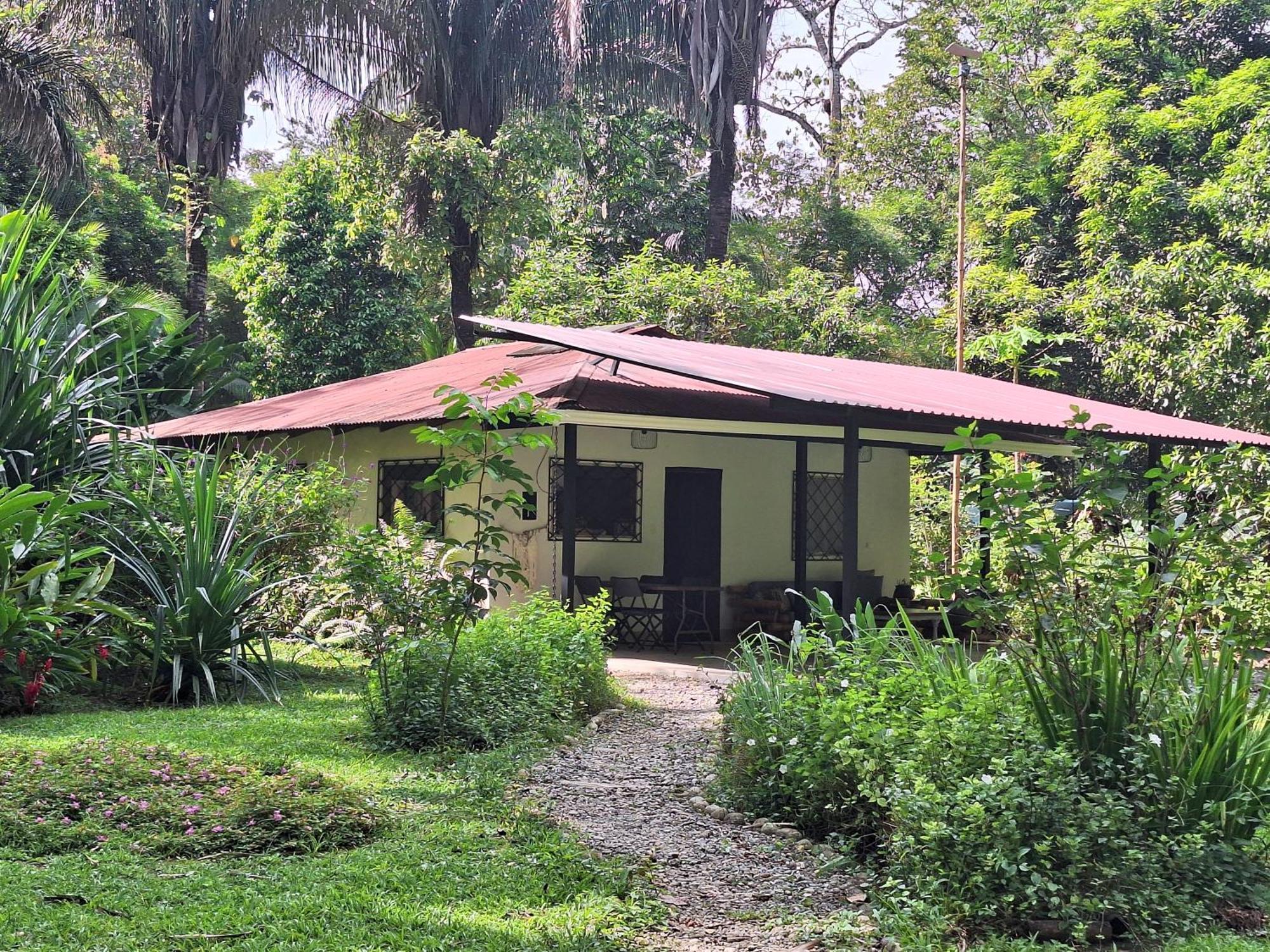 Four Monkeys Eco Lodge Jungle & Beach - The House Cabo Matapalo Экстерьер фото
